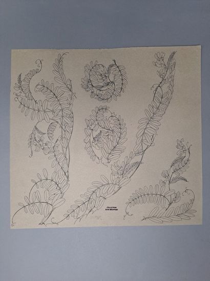 null ETABLISSEMENT GALLE

Poncifs, floral motifs 

25 poncifs drawings, 1 signed...