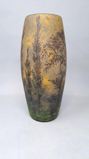 DAUM - NANCY 

Vase with ovoid body and open...