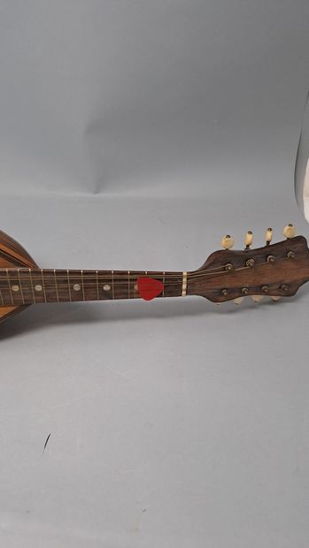 null Mandoline napolitaine. Etiquette de fabricant : Stridente fabrica di mandolini,...