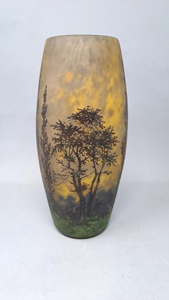 null DAUM - NANCY 

Vase with ovoid body and open neck. Proof in yellow, green and...