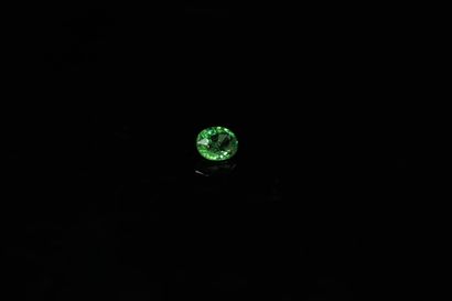 null Oval tsavorite garnet on paper. 

Weight : 1.07 ct. 



Dimensions : 6.6 mm...