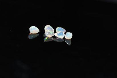 null Lot de six opale poire facettées sur papier.



Poids total : 2.91 cts. 



Dimensions...