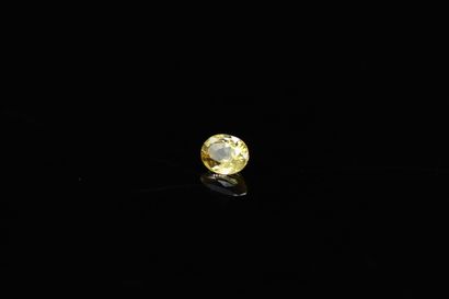 null Oval yellow sapphire on paper. 

Weight : 0.32 ct. 



Dimensions : 4.2 mm x...