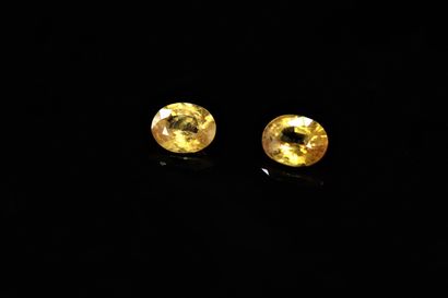 null Pairing of oval yellow sapphires on papeir. 

Total weight : 0.83 ct.