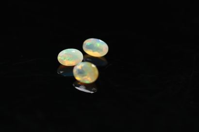 null Lot of three oval opals on paper.

Total weight : 1.06 ct.