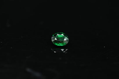 null Oval tsavorite garnet on paper. 

Weight : 2.47 cts. 



Dimensions : 7.4 mm...