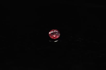 null Oval ruby on paper. 

Weight : 1.13 ct. 



Dimensions : 6.5 mm x 5.8 mm