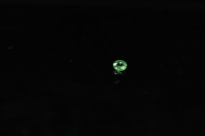 null Oval tsavorite garnet on paper. 

Weight : 0.48 ct. 



Dimensions : 5.3 mm...