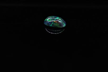 null Cabochon of multicolored opal with dominant blue on paper. 

Weight : 2.87 ...