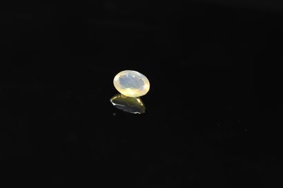 null Oval opal on paper. 

Weight : 0.72 ct. 



Dimensions : 7.8 mm x 5.7 mm