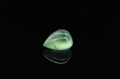 null Cabochon of prehnite pear on paper. 

Weight : 12.84 cts. 



Dimensions : 15.5...