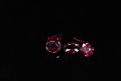 null Lot of five red and pink garnets of various sizes on paper. 

Total weight :...