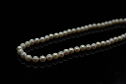 Cultured pearl necklace. The clasp in yellow...