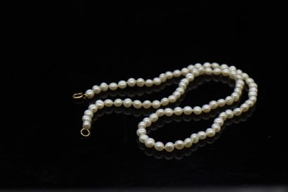 null Necklace of cultured pearls. The clasp in yellow gold 18k (750).

Necklace size...