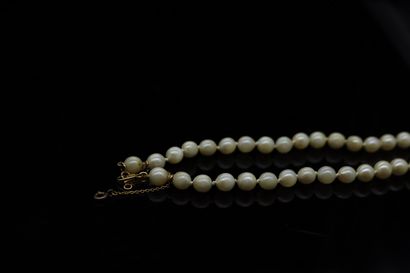 null Lot including :

a cultured pearl necklace. The clasp in gilded metal and the...