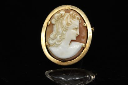 null Shell cameo representing a young woman in profile, set in 18K (750) yellow gold....