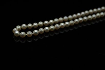 null Necklace composed of 56 pearls of culture, the clasp and the chain of security...