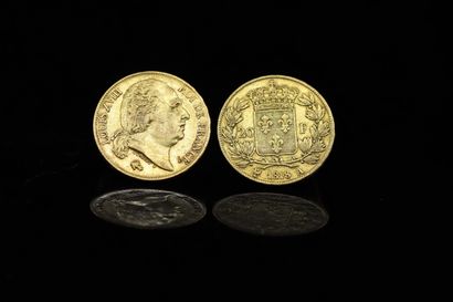 Two gold coins of 20 francs Louis XVIII naked...