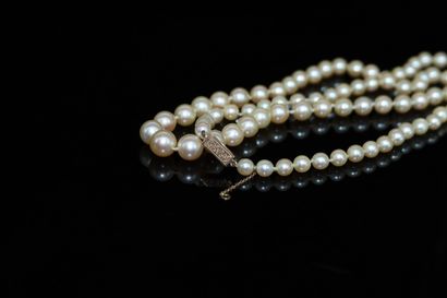 null Necklace of cultured pearl in fall. The clasp and safety chain in 18k (750)...