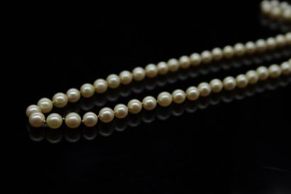 Necklace of cultured pearl. The clasp in...