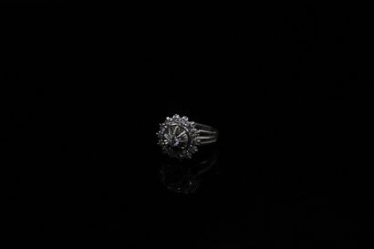 Daisy ring in 18k (750) white gold set with...