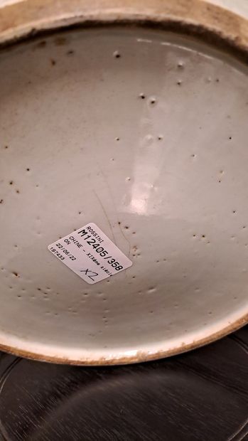 null CHINE - XIXème siècle

Paire de pots à gingembre blanc bleu.

H. 24 et 22 cm

Fêle

Socle...