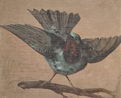 null ANONYME, fin XIXe siècle,

Oiseaux branchés,

paire d'huile sur toiles marouflées...