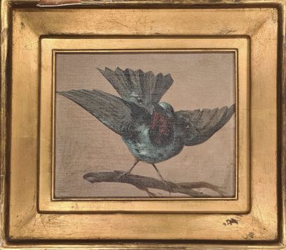 null ANONYME, fin XIXe siècle,

Oiseaux branchés,

paire d'huile sur toiles marouflées...