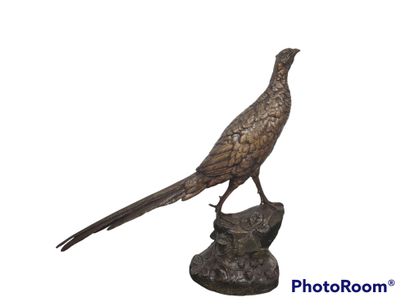 null BUREAU Léon, 1866-1906,

Pheasant hen,

bronze with a shaded brown patina (worn...