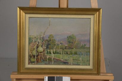 null CHIMONAS Nicholaos, 1866-1929

Jardin devant la montagne, 1928

huile sur toile...