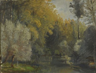 HUET Paul, 1803-1869

Frondaisons d’automne

huile...