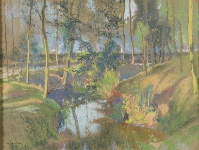 null DE SAEGHER Rodolphe, 1871-1941

Ruisseau en sous-bois

pastel sur papier (insolation,...
