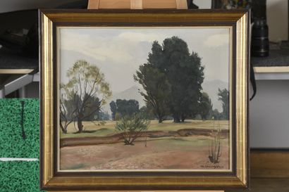 null EHLINGER Maurice, 1896-1981

Landscape with trees

oil on canvas

signed lower...