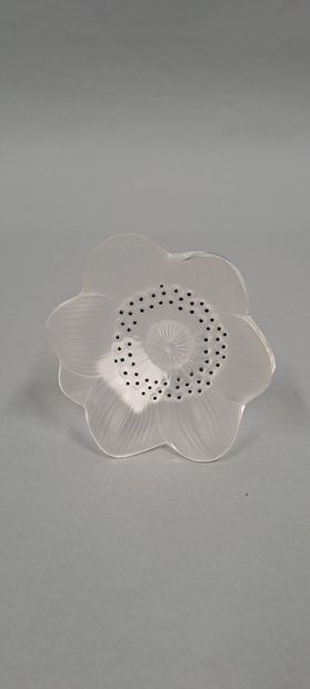 null LALIQUE
Flower in crystal to be posed (an anemone, model created in 1931), signed...