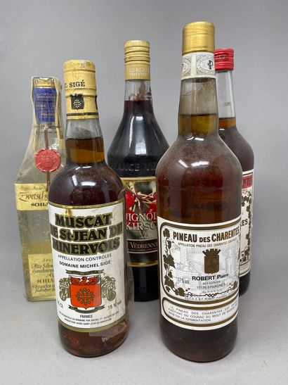 null 6 bouteilles de VINS CUITS & ALCOOL :
- Pineau des Charentes GUERIN Frères
-...