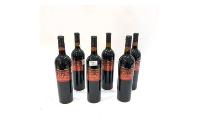null 6 bottles MERLOT "Don Luis", Vinicola Cetto 2001 (Mexico)