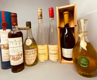 null Set of liqueurs including Williams Pear, Raspberry, Mirabelle and various