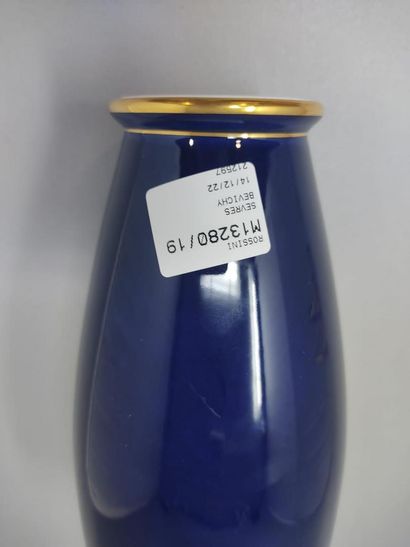 null SEVRES
Coupe en porcelaine à fond bleu de Sèvres rehaussé de motifs floraux...