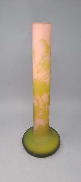 GALLE (In the taste of)
Vase with long tubular...