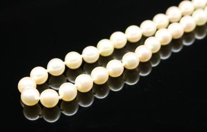 Collier composé de 56 perles de culture,...