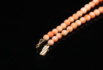 null Necklace made of falling coral beads. The clasp in yellow gold 18k (750)
Necklace...
