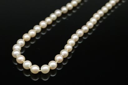 Fancy pearl necklace. The clasp in yellow...