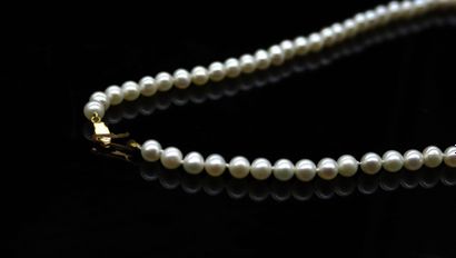 null Necklace of fancy pearls. The clasp in yellow gold 18k (750).
Eagle head hallmark.
Necklace...