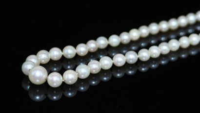 Necklace of fancy pearls in fall. The clasp...