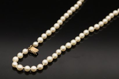Necklace of cultured pearl double row. The...