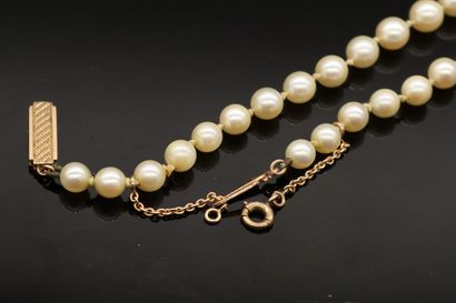 null Necklace of cultured pearls in fall. The clasp in yellow gold 18k (750). 
Necklace...