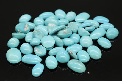 Lot of turquoise cabochons.
Weight : 652.30...