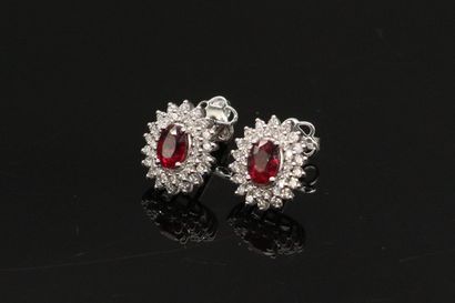 null AC Pair of 14k (585) white gold daisy ear studs set with an oval ruby in a double...