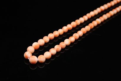 Necklace made of falling coral beads. The...