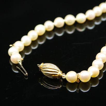null Necklace composed of 56 cultured pearls, the clasp and the safety chain in 18k...